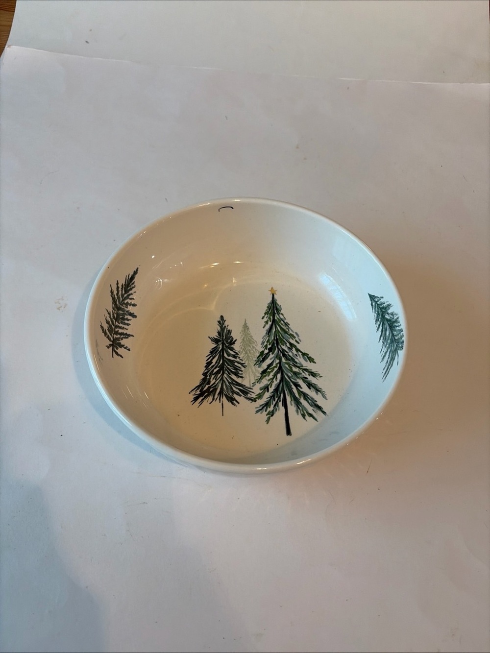Pier 1 All Spruced Up Dinner Plate & Bowl Christmas Trees Ironstone - Picture 5 of 8